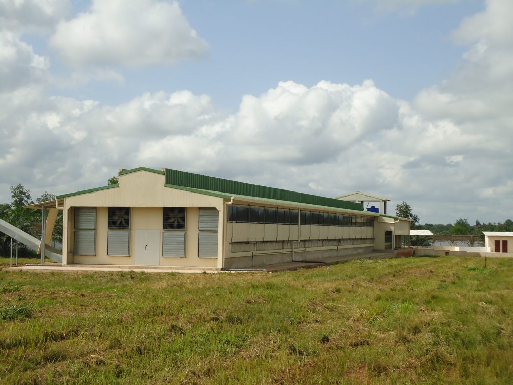 DSC05331