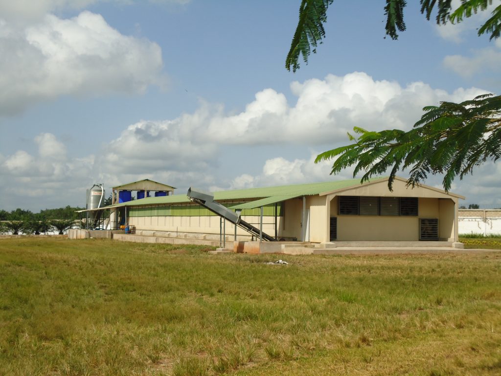 DSC05335